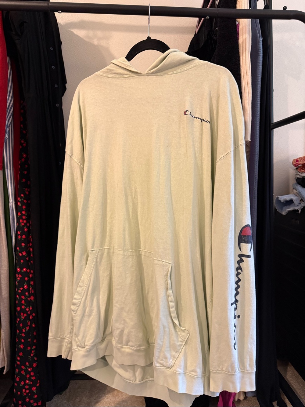 Champion Pale Green Pullover Hoodie with Sleeve Script Logo